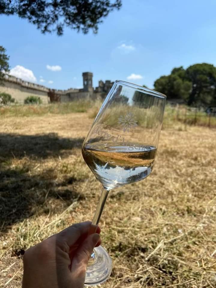 Location Gite En Provence Beaucaire  Exteriér fotografie