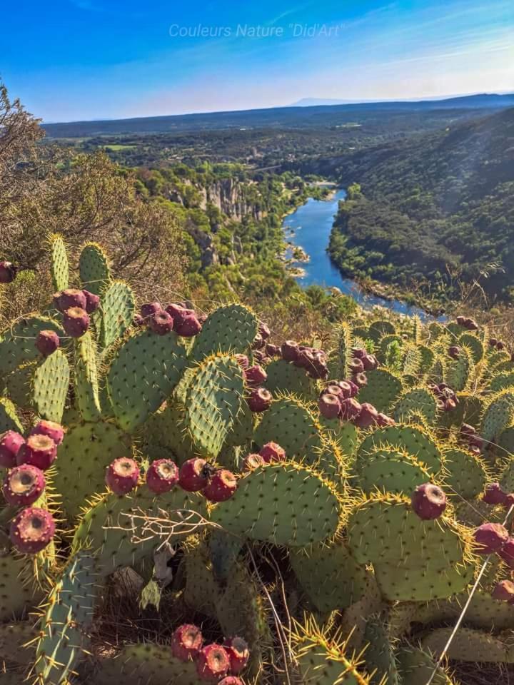 Location Gite En Provence Beaucaire  Exteriér fotografie